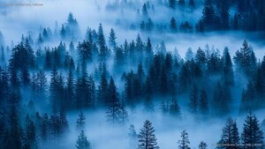 Yosemite National Park, California