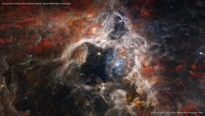 Young stars forming in the Tarantula Nebula, James Webb Space Telescope